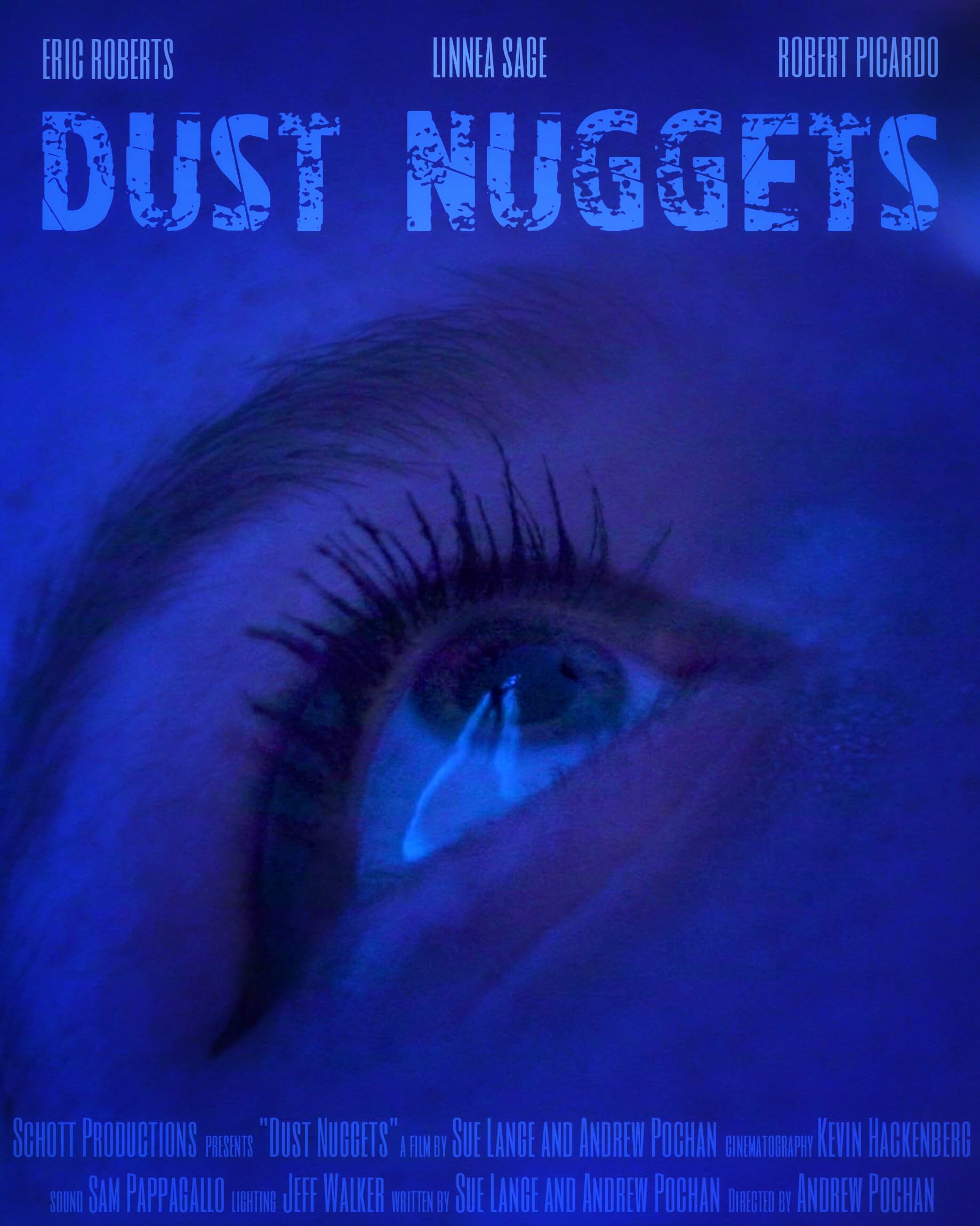     Dust Nuggets